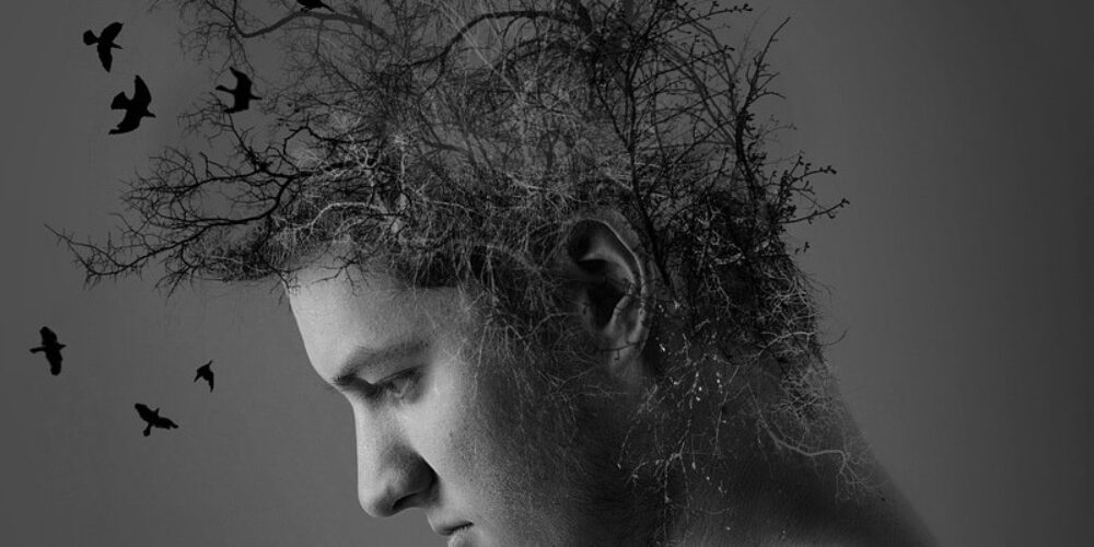 black-4812753_1280 (1)